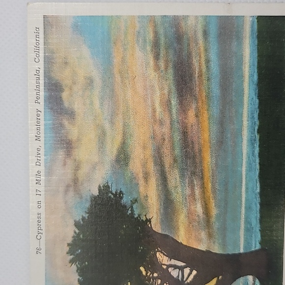 Cypress on 17 Mile Drive, Monterey Peninsula, California Vintage Postcard - Picture 4 of 6